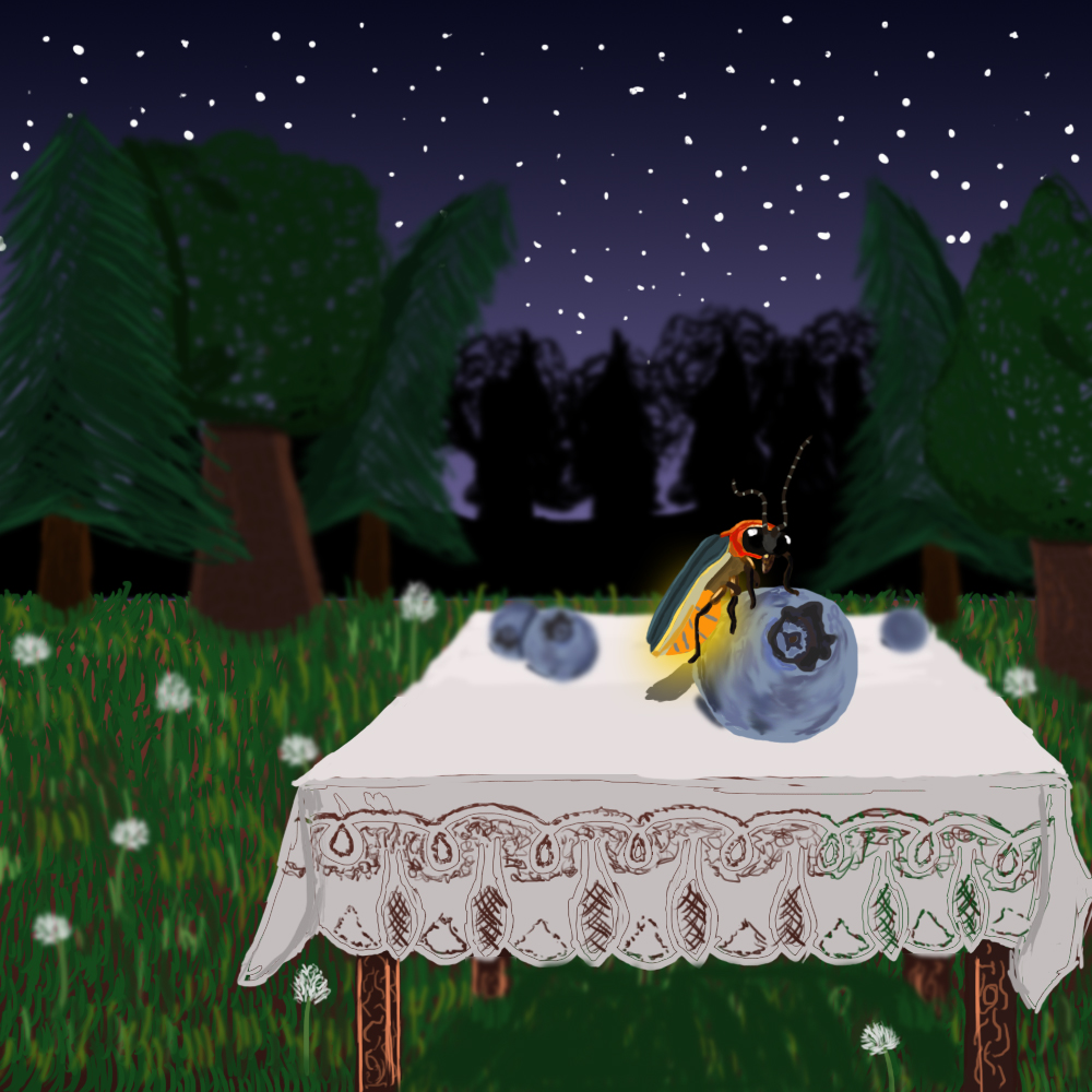 Blueberries and firefly