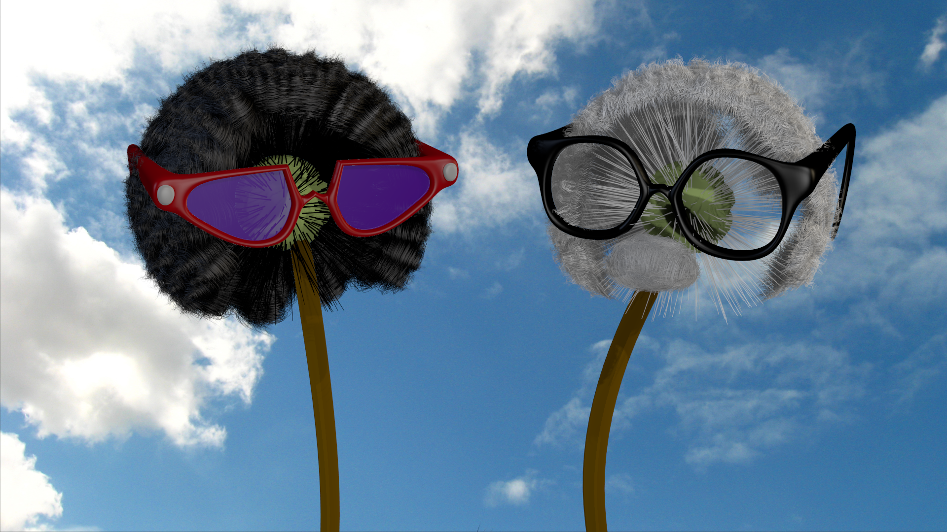 Dandelions